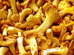 Tilbuds billede